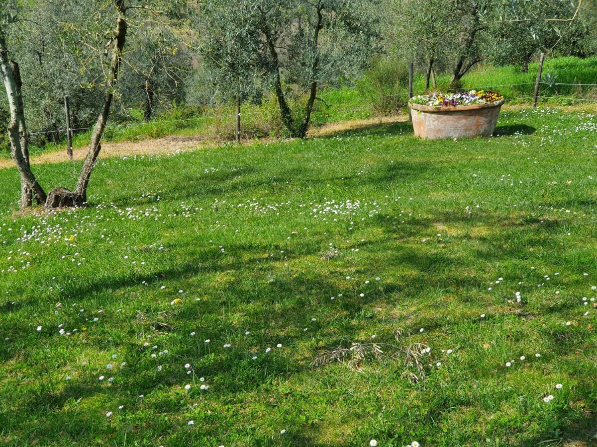 Residenza Il Colle Panzió Impruneta Kültér fotó